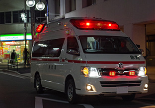 ペットタクシー夜間救急輸送サービス